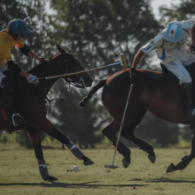 polospelers