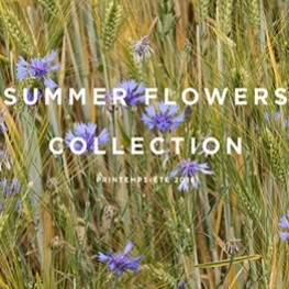 De collectie Summer Flowers
