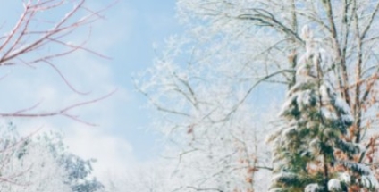 De must-haves van de winter