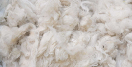 Merinowol: perfecte combinatie van warmte en elegantie